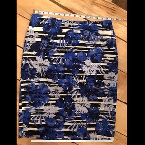 Ann Taylor Pencil Skirt